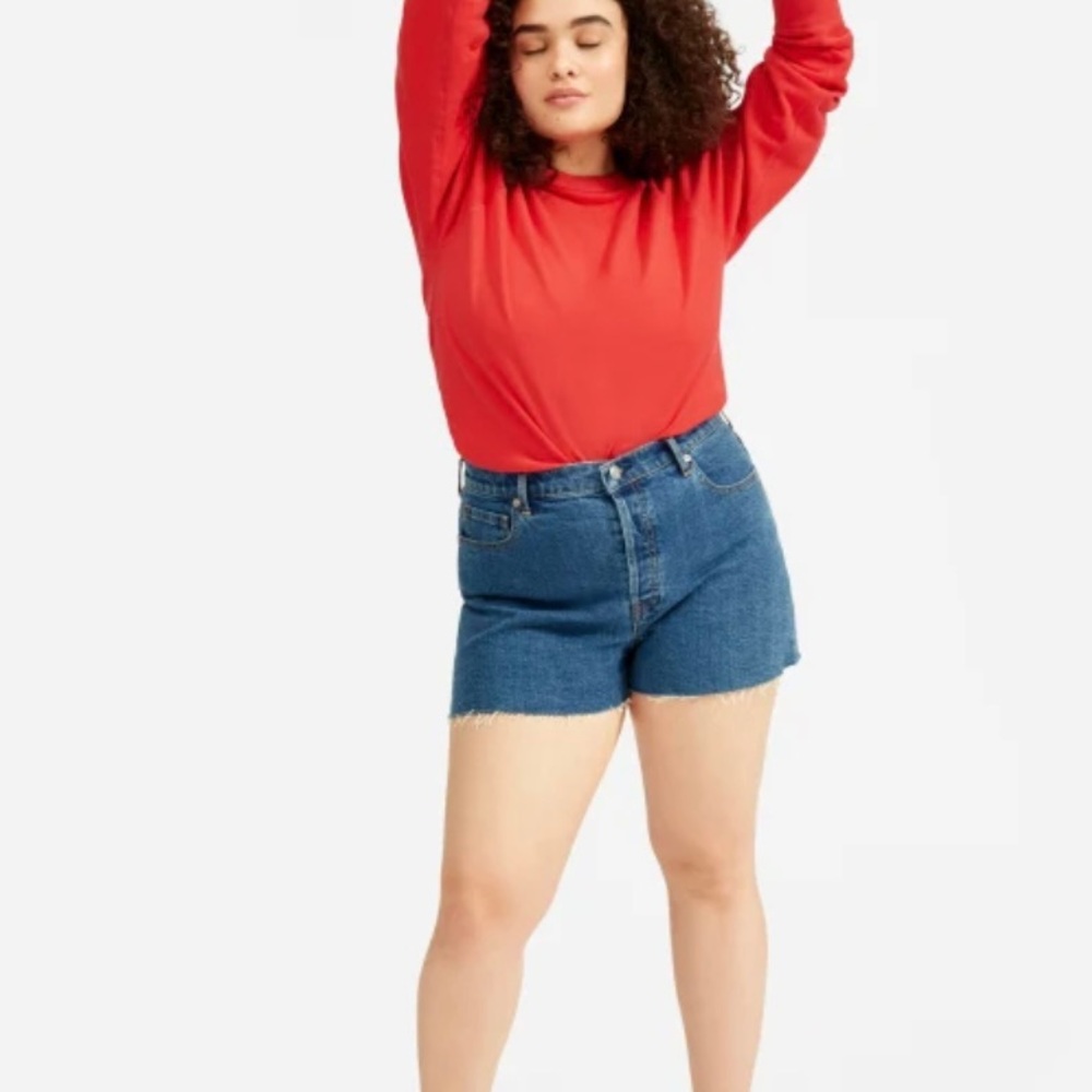 Everlane The Cheeky Denim Shorts Size 29
